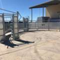 Cattle Yards For Sale QLD