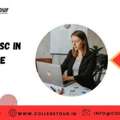 Vit Online Msc In Data Science