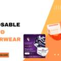 Disposable Period Underwear Soft Leakproof Comfort