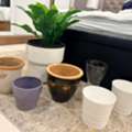 BHD 10,  7pcs Plant Pot And Flower Vase