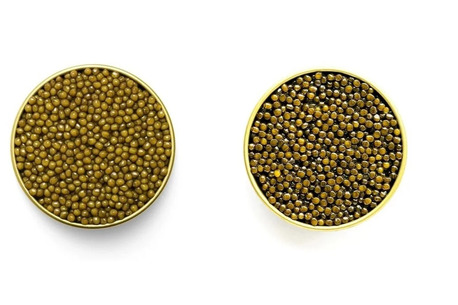 Jumeirah, Food, Luxuryfood | Osetra Caviar &ndash; Premium Luxury Delicacy