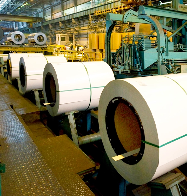 Faridabad, Electronics, Mill Automation Suppliers