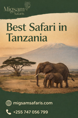 Dar es Salaam, Travel, Best Safari In Tanzania &ndash; Explore Top Parks