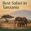 Best Safari In Tanzania &ndash; Explore Top Parks