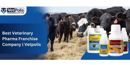 Panchkula, Health, Grow Your Business With Vetpolis Veterinary Pharma Franchise Company