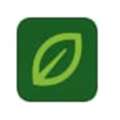 Somerville Lawn Care Experts
