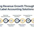 How White Label Accounting Solutions Help Firms Grow Faster