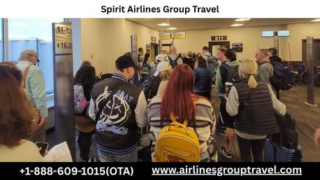 New York, Travel, Does Spirit Airlines Do Group Travel?