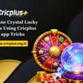 Fortune Crystal Lucky Spins Using Cricplus App Tricks
