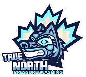 Vancouver, Cleaning, True North Pressure Washing - Nanaimo