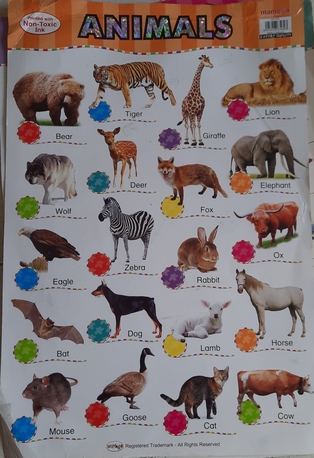 Manama, Baby & Kid Stuff, BHD 1,  Kids Learning Charts For Sale!