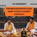 Trimbakeshwar Kaal Sarp Pooja Pandit Contact | Rudraksha Remedies