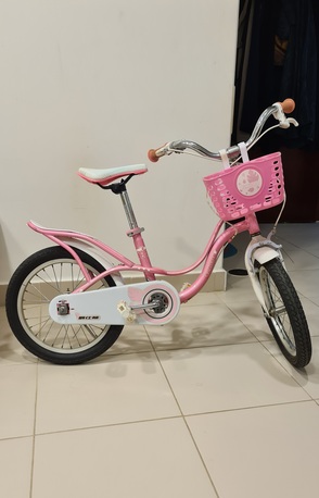 Jubail, Bicycles, SAR 245,  Bicycle