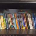 SAR 35,  Books Series, Novels, Kids Books Etc