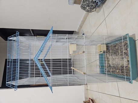 Riyadh, Pet Supplies, SAR 100,  Birds Cage