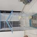 SAR 100,  Birds Cage
