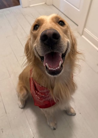 New York, Business, Bryant