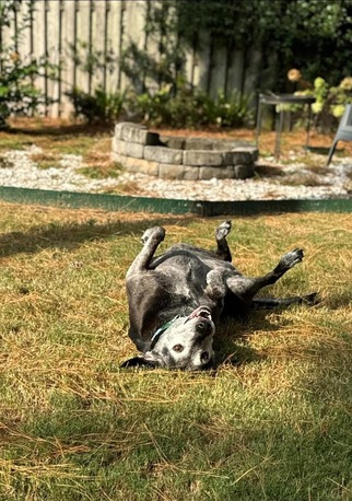 New York, Business, Bryant