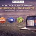 How Cricket Stats Help You Understand Matches Better