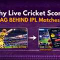 Why Live Cricket Scores LAG BEHIND IPL Matches