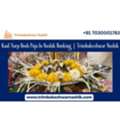 Kaal Sarp Dosh Puja In Nashik Booking | Trimbakeshwar Nashik