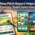 How Pitch Report Helps In Fantasy Team Selection