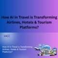 How AI In Travel Is Transforming Airlines, Hotels & Tourism Platforms?