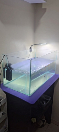 Jubail, Pet Supplies, SAR 540,  Big Aquarium 30 LTR Capacity Along With  Fishes For Sale
