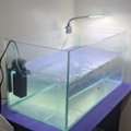 SAR 540,  Big Aquarium 30 LTR Capacity Along With  Fishes For Sale