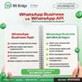 WhatsApp Business Vs API | Upgrade To Smart Business Messaging - WA Bridge