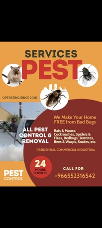 Jeddah, Pest Control, PEST CONTROL SPRAYS&BED BUGS Solution With Guaranteed &House Furniture Shifting Service