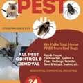 PEST CONTROL SPRAYS&BED BUGS Solution With Guaranteed &House Furniture Shifting Service