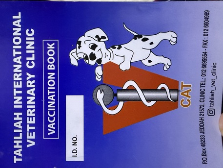 Jeddah, Pet Adoption, 4 - Month Old Leo For Adoption