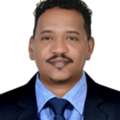 ELV SITE ENGINEER