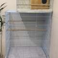 SAR 350,  Bird Cage For Sale