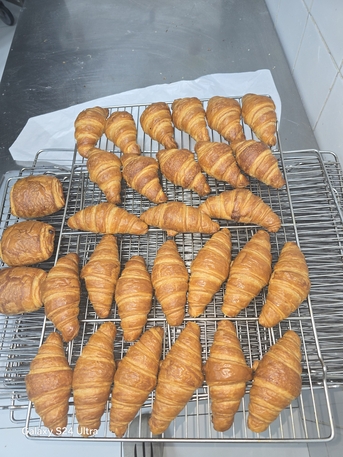 Riyadh, Job Seekers, ​Professional Bakery Chef Expertise In Croissants And Artisanal Dough