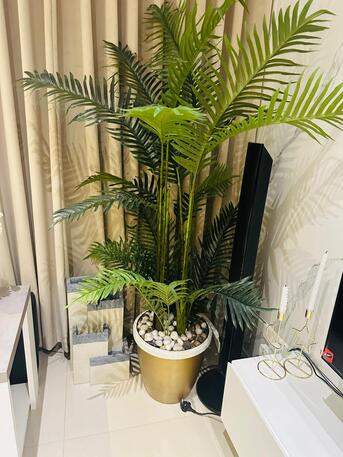 Jeddah, Appliances, SAR 200,  Decoration Plant