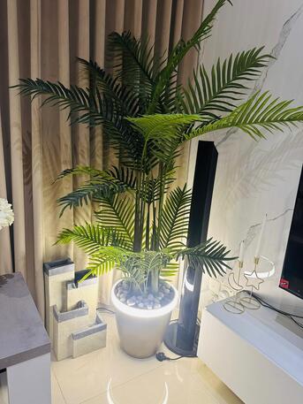 Jeddah, Appliances, SAR 200,  Decoration Plant