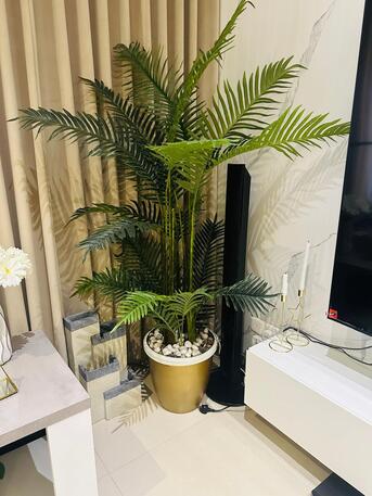 Jeddah, Appliances, SAR 200,  Decoration Plant