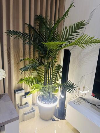 Jeddah, Appliances, SAR 200,  Decoration Plant