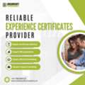 Experience Certificates Provider In Lucknow