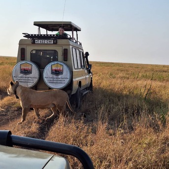 Dar es Salaam, Travel, Tanzania Safari Booking Offers 2026 And 2027