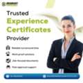 Experience Certificates Provider In Noida