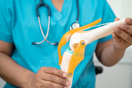 Bhopal, Health, Best Orthopedic Hospital In Bhopal