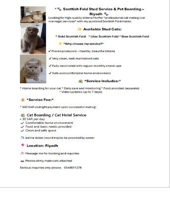 Olaya, Pet Sitting, PET SITTING / PET BOARDING