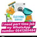 House Cleaner