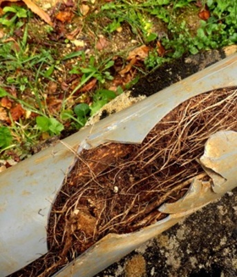 New York, Household, NuFlow No-Dig Pipe Repair: The Smarter, Cleaner Way To Fix Pipes