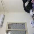 SAR 700,  ROOM FOR RENT BACHLOR