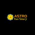 Karya Siddhi Astrology Center