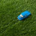 Spring & Fall Yard Clean-Up Services In Calgary - The LawnFather